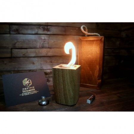 Биокамин ZeFire Strong по цене 7 500 руб.