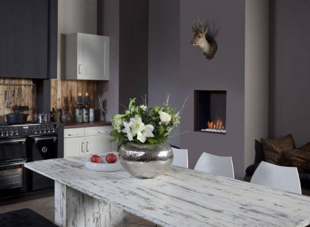 Газовый камин Faber Fyn 450 Газовый камин Faber Fyn 450